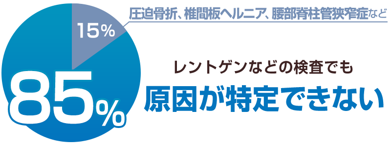 腰痛の約85％はレントゲンでも原因が特定できない